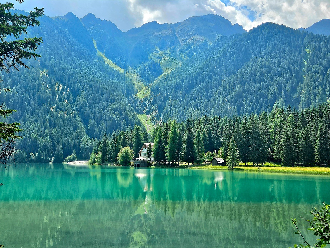 découvrez tout sur le biathlon : règles, techniques, compétitions et actualités de ce sport combinant ski de fond et tir à la carabine.
