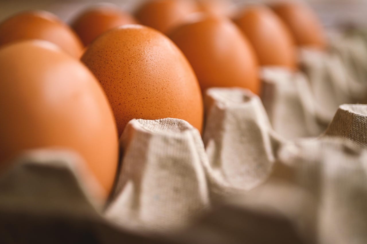 solutions de stockage sécurisées et efficaces pour vos données et biens personnels. découvrez nos options adaptées à tous vos besoins.